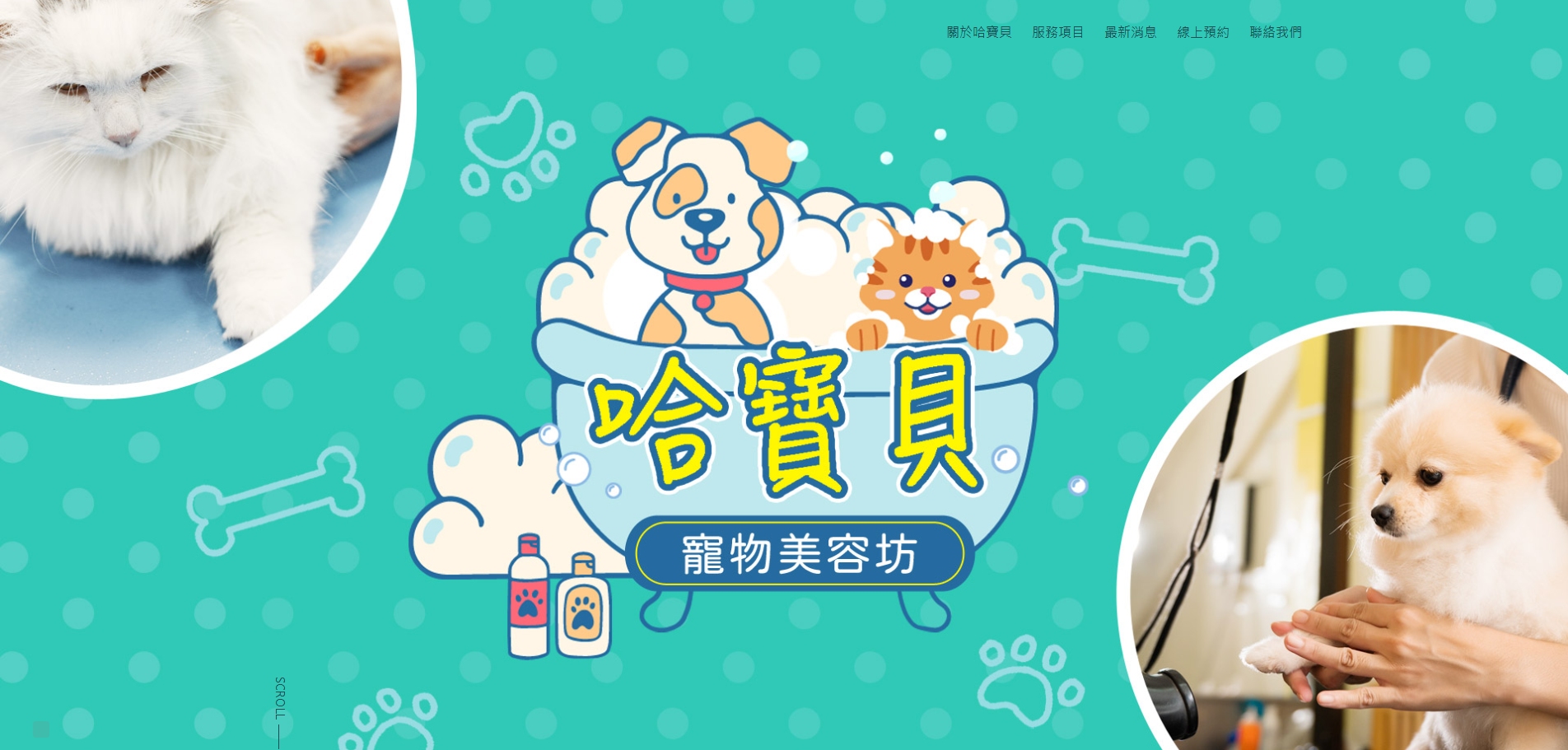 No.0029 哈寶貝寵物美容